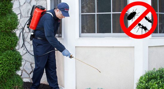 Evka 3 Kemirgen İlaçlama böcek ilaçlama ve haşere kontrolü — ilaclama-tr.com